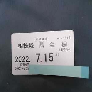 相模鉄道相鉄　全線　参議院議員選挙用パス