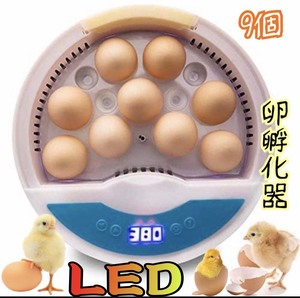  in kyu Beta - inspection egg LED light birds exclusive use . egg vessel .. vessel maximum 9 piece insertion egg OKhi width child education for home use detailed Japanese instructions attaching new goods y