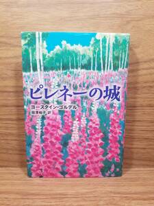 ピレネーの城　ヨースタイン・ゴルデル (著), 畑澤 裕子 (翻訳)