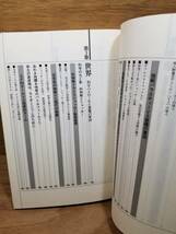 ウルトラマン対仮面ライダー メガヒーロー 光と影の神話　池田 憲章 (著), 高橋 信之 (著)_画像6