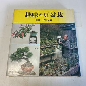 220706!P12! free shipping * hobby. legume bonsai Nakamura .. height . bookstore Showa era 50 year 