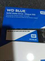 未開封 SSD M.2 2280 SATA 250GB WD製 WDS250G2B0B_画像1