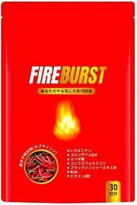 【FIRE BURST】 L-カルニチン BCAA サプリ 厳選素材 30日分