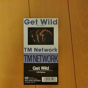 TM NETWORK Get Wild / Fighting / 超美品 /8cmCD 