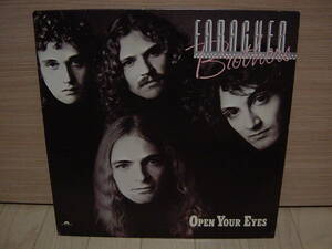 LP[AOR] Vini Poncia プロデュース FARAGHER BROTHERS OPEN YOUR EYES ファラガー・ブラザーズ