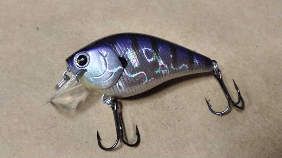 限定200個!優勝記念シリーズ LC1.5 DRS TOクローSP(ラッキークラフトU.S.A) ケース無し 未使用コレクター保管 美品 - betaimp.com 限定200個!優勝記念シリーズ LC1.5 DRS TOクローSP(ラッキークラフトU.S.A) ケース無し 未使用コレクター保管 美品 - betaimp.com