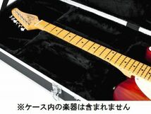 【A】GATOR★ST/TLエレキギター用★ABS★フラットタイプエレキケース★ストラト/テレキャスタイプエレキギターに対応★GC-ELECTRIC-A-S_画像6