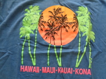 c130-60 80s Poly Tees Hawaii Tシャツ 青 XLサイズ 綿100％ ハワイ ヴィンテージ_画像3