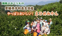 愛媛 宇和島 吉田産 河内晩柑 家庭用5kg 爽やかジューシーな夏の柑橘 かわちばんかん 送料無料 北海道・沖縄・東北は別途送料_画像10