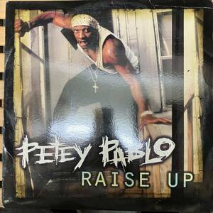 ■■■■■HIPHOP,R&B PETEY PABLO - RAISE UP INST,シングル レコード 中古品