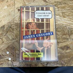 シPOPS,ROCK JAMES GREGORY - IT COULD BE A LAW, I DON'T KNOW! アルバム,INDIE TAPE 中古品