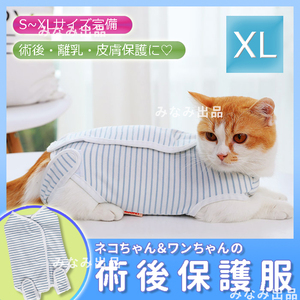 【XL】猫犬 術後服 術後ウェア 離乳 避妊手術皮膚保護 傷口 エリザべスカラー　水色