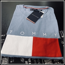 フラッグロゴがモチーフのカラーブロック　ブルー Mサイズ TOMMY HILFIGER_画像4