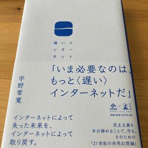 遅いインターネット （ＮＥＷＳＰＩＣＫＳ　ＢＯＯＫ） 宇野常寛／著