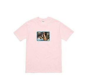 (M)Supreme Larry Clark Girl TeeシュプリームガールTシャツ　ラリークラーク