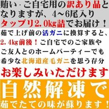 1円カニデパ大盛北海道産ボイル堅毛蟹2Kg詰訳あり折福袋業務用 4506_画像5