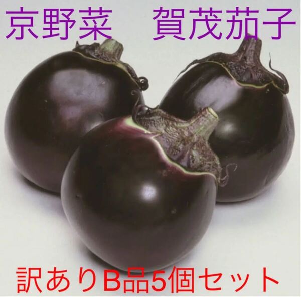 期間限定! なす 賀茂茄子 B品 5個セット!(京野菜セットもあります^ - ^)