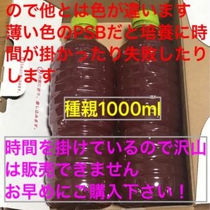 PSB 500ml 2本 水質浄化剤 メダカや熱帯魚にどうぞ