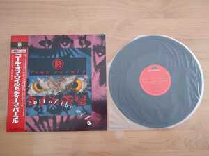 ★ディープ・パープル Deep Purple★コール・オブ・ワイルド Call of the Wild★レコード★帯付★中古品