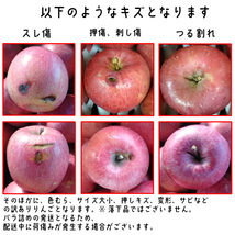 青森りんご訳ありジョナゴールド15キロ前後モールド詰め1円～_画像3