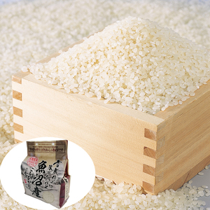 雪蔵仕込み氷温熟成　魚沼産こしひかり特別栽培米