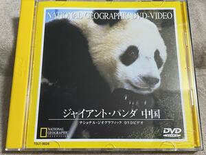 ジャイアント・パンダ 中国 ナショナル・ジオグラフィック DVD 57分収録 日本盤