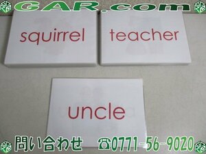 LG11 English teaching material single language card laminate STU illustration card 162 sheets A4 size child oriented learning English . summarize set 