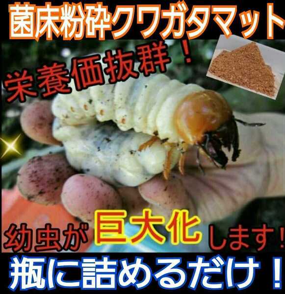 【改良版】菌床粉砕クワガタマット【5L】瓶やプリンカップに詰めるだけ!オオクワ、ニジイロ、ヒラタ、ノコギリ幼虫がビックサイズに!