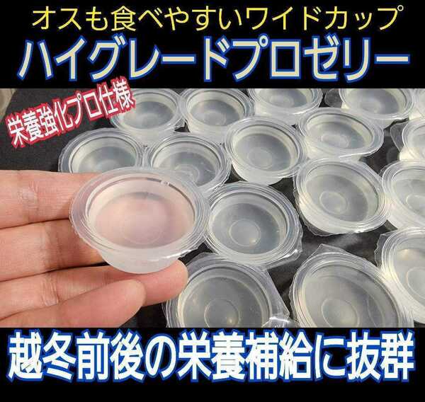 クワガタ、カブトムシの餌はコレ！ハイグレードプロゼリー【100個】食べやすいワイドカップ☆トレハロース強化！産卵促進・長寿効果抜群