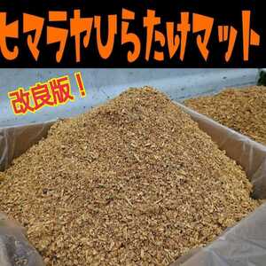 瓶に詰めるだけ！粉砕クワガタマット！クヌギ100%原料！ヒマラヤひらたけ菌床を粉砕しました！オオクワなど菌糸系クワガタに！良く食べます