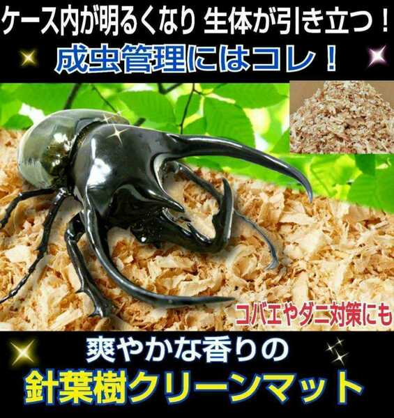 カブトムシ、クワガタの成虫管理はこれが一番！爽やかな香りの針葉樹マット☆ケース内が明るくなり生体が目立ちます！ダニ、コバエ湧かない