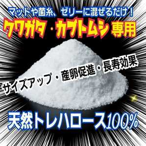 クワガタ・カブトムシのエネルギー源！トレハロース粉末☆マットや菌糸・ゼリーに混ぜるだけでサイズアップ、産卵数アップ、長寿効果抜群！