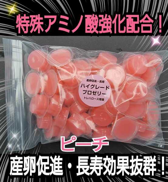 クワガタ、カブトムシの餌はコレ！ハイグレードプロゼリー【50個】食べやすいワイドカップ☆トレハロース強化！産卵促進、長寿効果抜群です