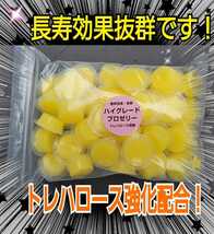 クワガタ、カブトムシの餌はコレ！ハイグレードプロゼリー【50個】食べやすいワイドカップ☆トレハロース強化！産卵促進、長寿効果抜群です_画像1