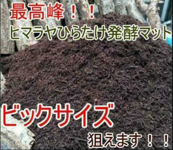 【改良しました】幼虫がビッグに!ヒマラヤひらたけ発酵カブトムシマット【200L】雑虫やコバエの発生で悩んでる方は是非お試しください!