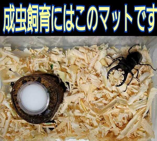 クワガタ、カブトムシの成虫管理はこれが一番！爽やかな香りの針葉樹マット☆ケース内が明るくなり生体が目立ちます！ダニ・コバエ湧かない