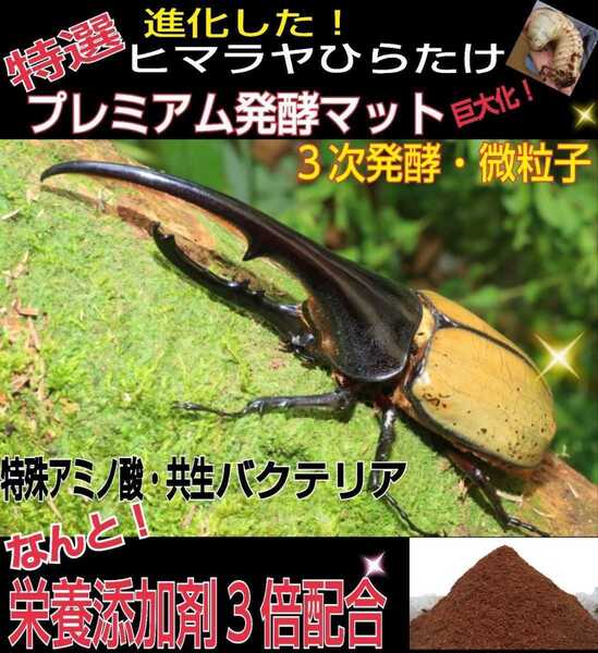 進化した!特選プレミアム3次発酵ヘラクレスマット【80L】微粒子☆特殊アミノ酸など栄養添加剤を3倍配合した究極のプロ仕様!産卵にも抜群