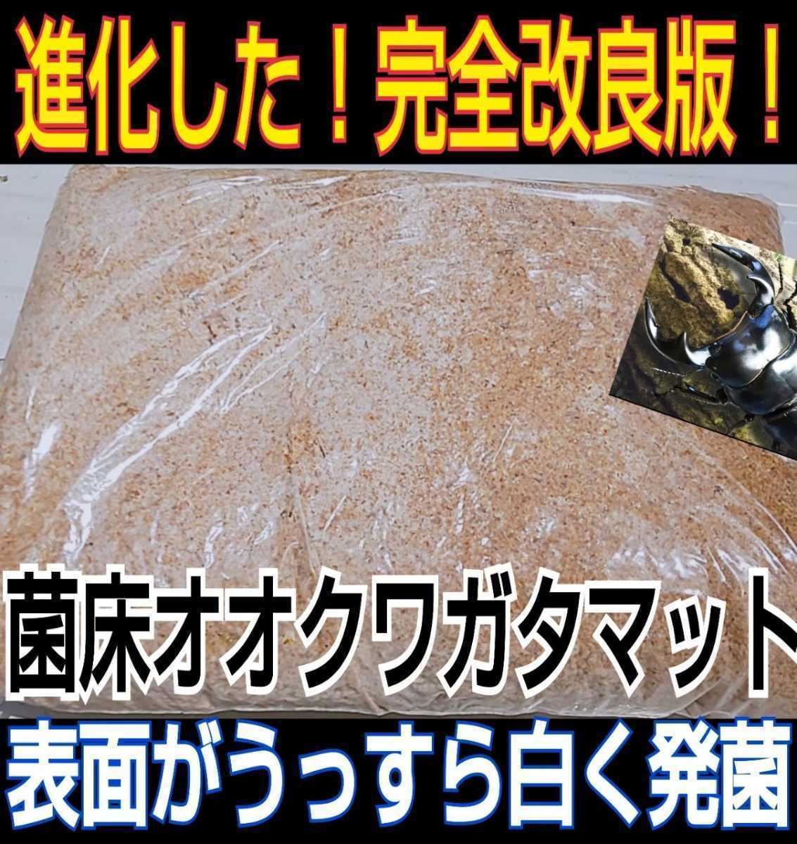 改良版!ヒマラヤひらたけ菌床クワガタマット【60L】瓶やプリンカップ