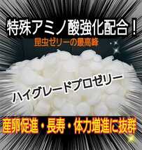 クワガタ、カブトムシの餌はコレ！ハイグレードプロゼリー【200個】食べやすいワイドカップ☆トレハロース強化！産卵促進・長寿効果抜群！_画像3