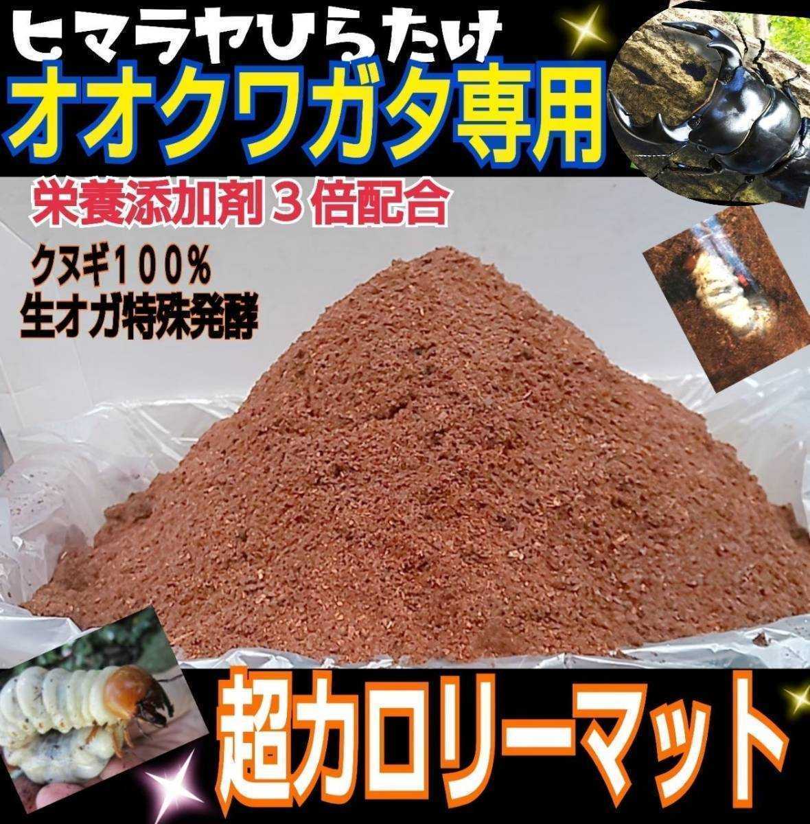 オオクワガタ専用☆超高カロリーマット【6袋】生オガを特殊発酵!共生