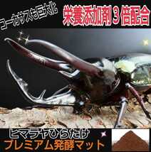 進化した！特選プレミアム3次発酵カブトムシマット【50L】微粒子☆特殊アミノ酸など栄養添加剤を３倍配合した究極のプロ仕様☆産卵にも抜群_画像8