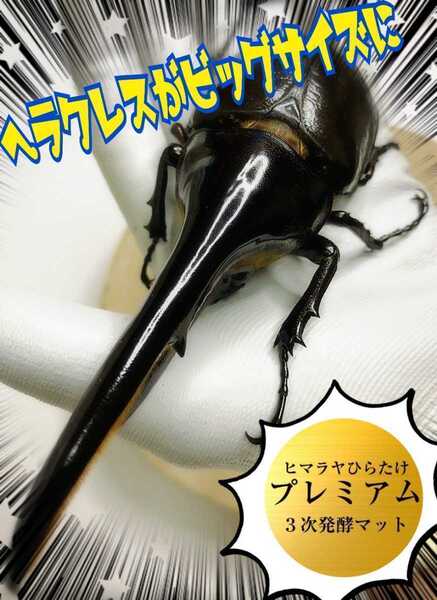 進化した!特選プレミアム3次発酵カブトムシマット【50L】微粒子☆特殊アミノ酸など栄養添加剤を3倍配合した究極のプロ仕様☆産卵にも抜群