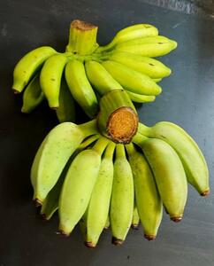 沖縄本島北部産　「島バナナ」「アップルバナナ」の沖縄絶品バナナセット！