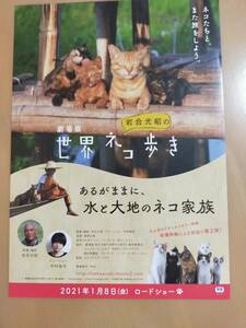 ★☆映画チラシ 「劇場版 岩合光昭の世界ネコ歩き　あるがままに、水と大地のネコ家族」 / 　◆2021年公開 (No.34344)☆★