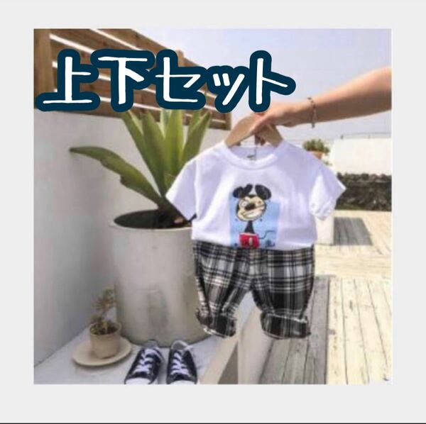 キャラクターTシャツパンツセット80サイズ ハーフパンツ 半袖