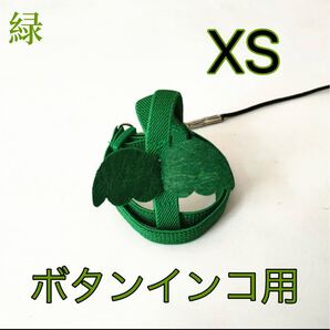 ボタンインコ用放鳥ハーネス XS 緑