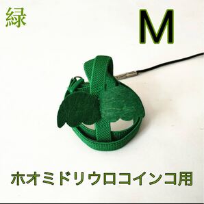 ホオミドリウロコインコ用放鳥ハーネス M 緑