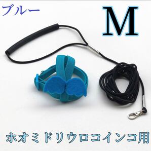 ホオミドリウロコインコ用放鳥ハーネス M ブルー