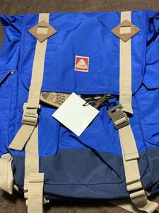 JANSPORT ( Jean sport ) worn Tey ji series rucksack (26L)BLUE STREAK unused 