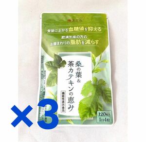 【新品】 桑の葉&茶カテキンの恵み 120粒入り×3袋 3ヶ月分 ダイエット 茶カテキン 機能性表示食品 血糖値を抑え脂肪を減らす 